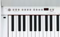 ROLAND F-110 PW